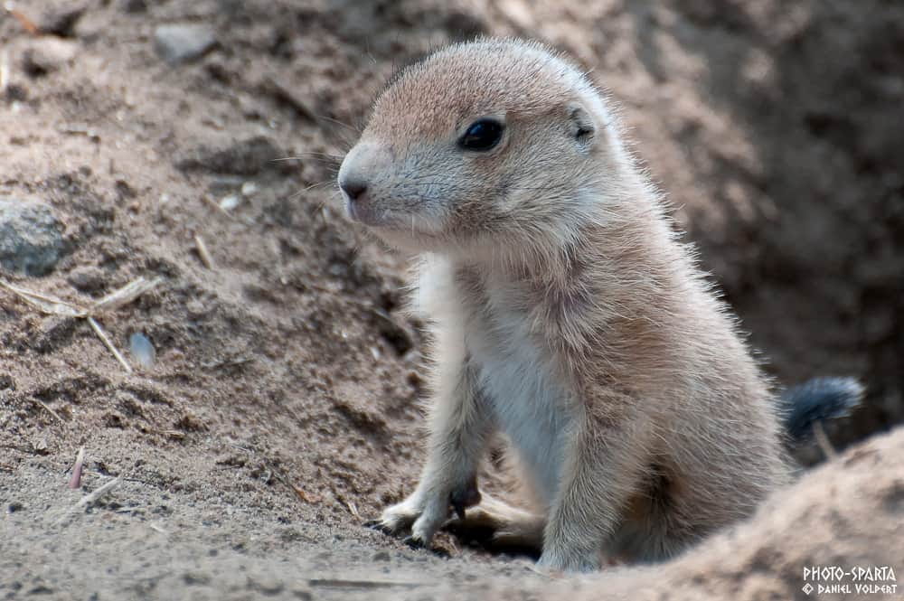 テストtest_hall02