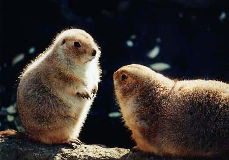 テストtest_blog04